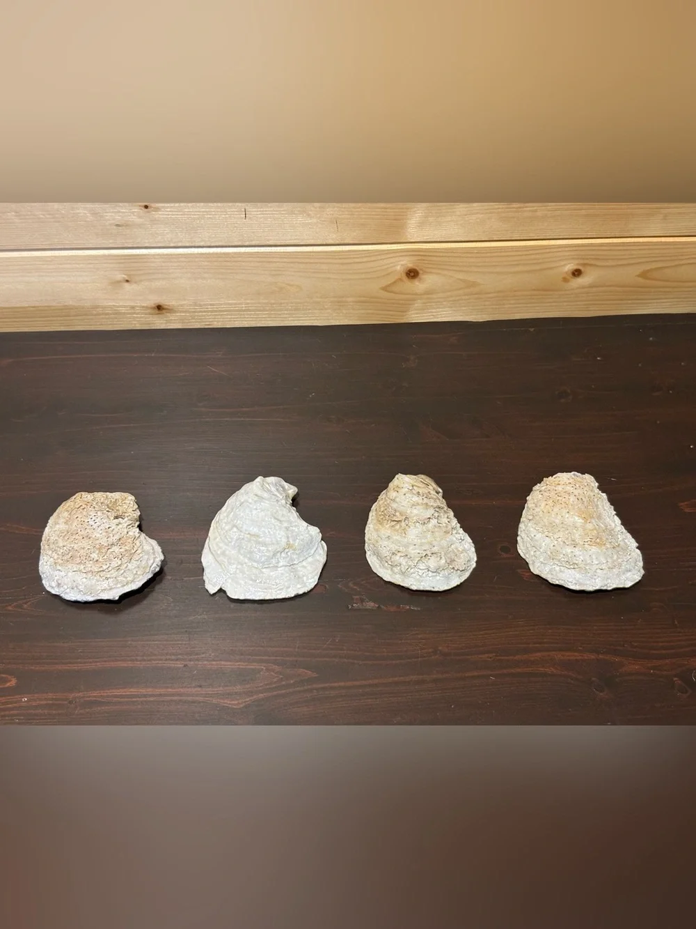 Wedding bridal theme handmade decoupage shells